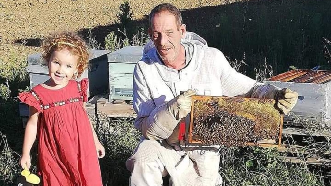 Lily'shoney (apiculteur récoltant) — photo 1